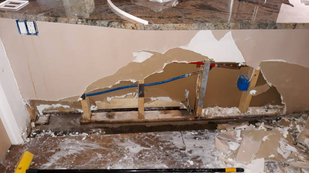 Best Residential water damage restoration  in Flat Rock, MI